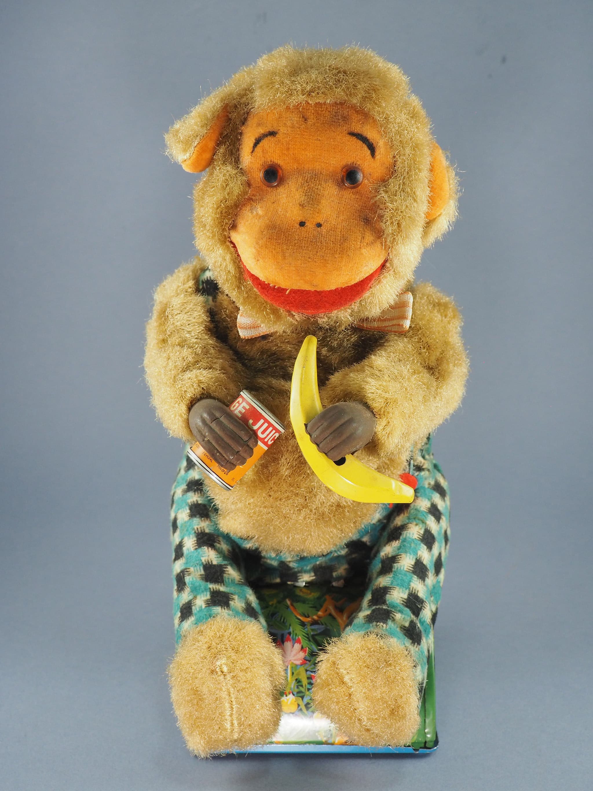 Monkey on a Picnic