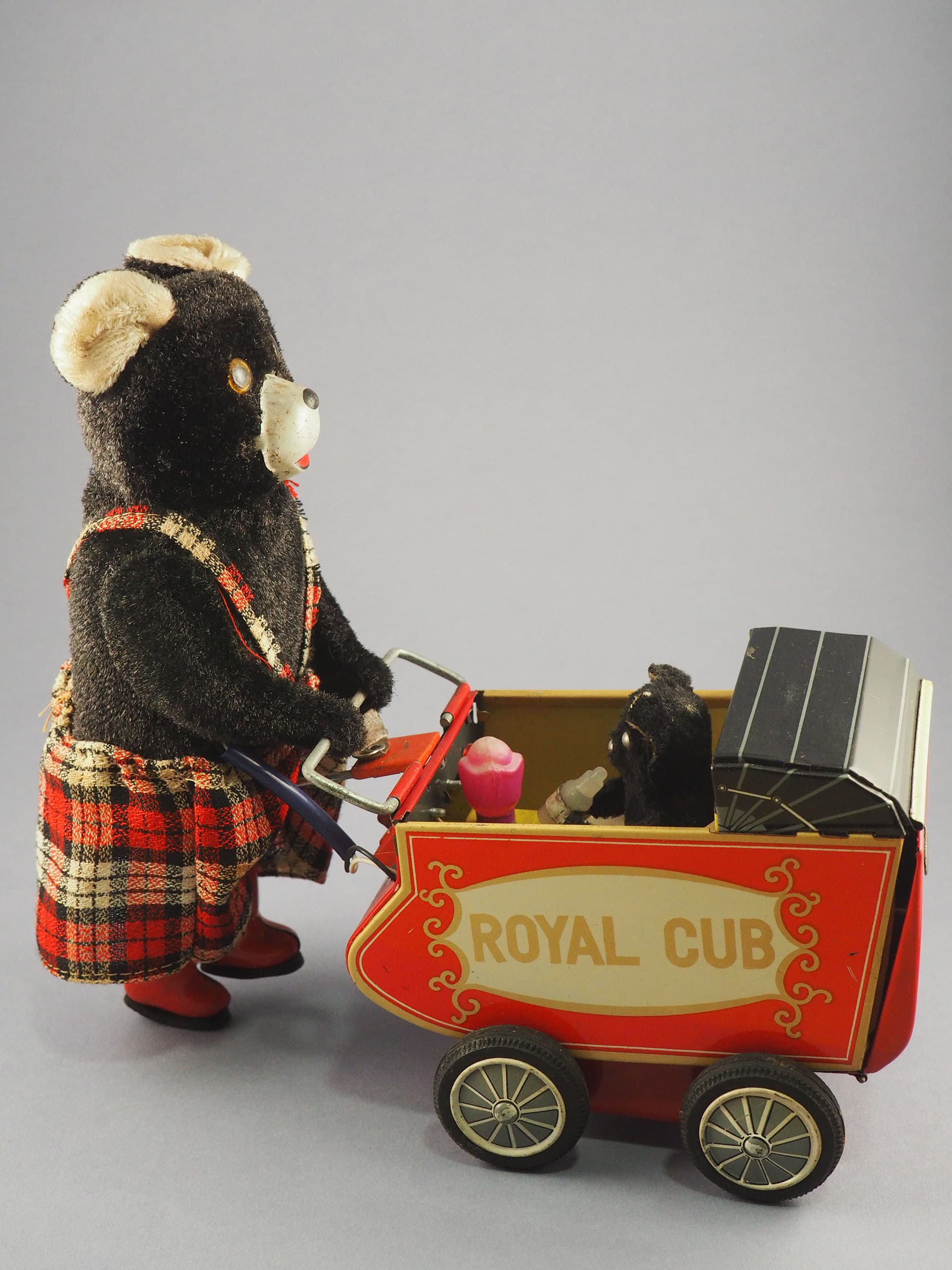 Royal Cub