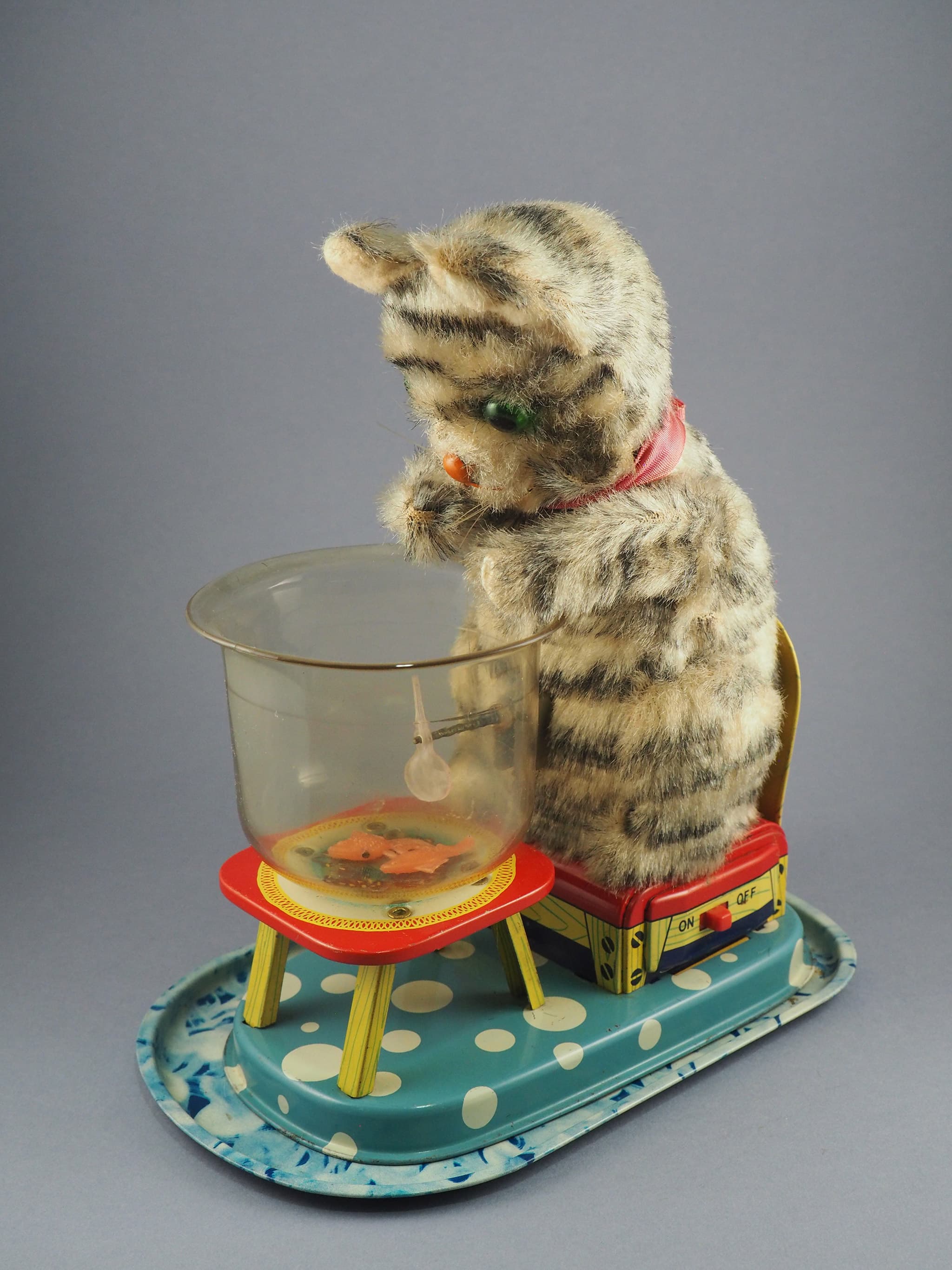 Hungry Cat