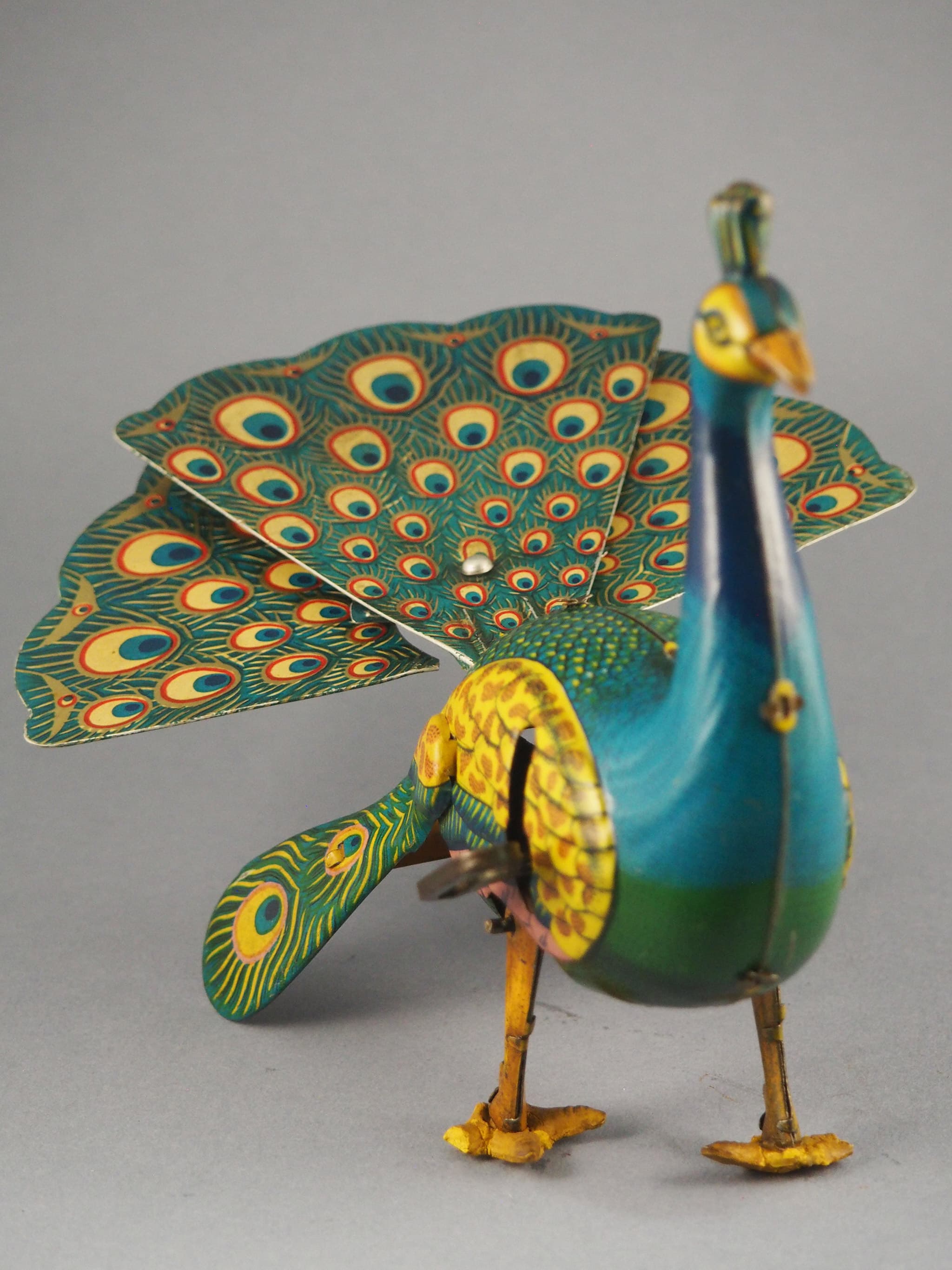 Proud Peacock