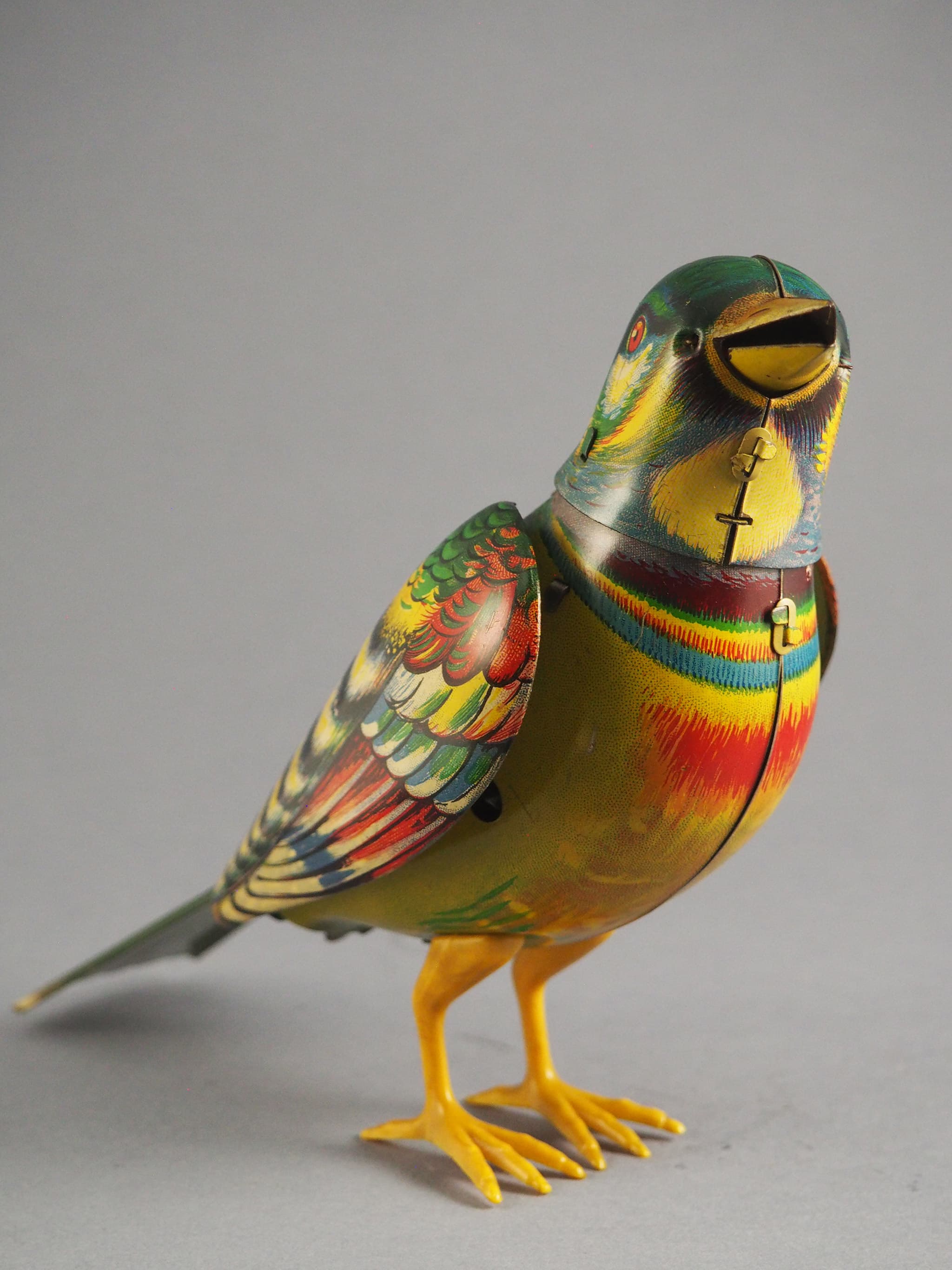 Jubilant Songbird