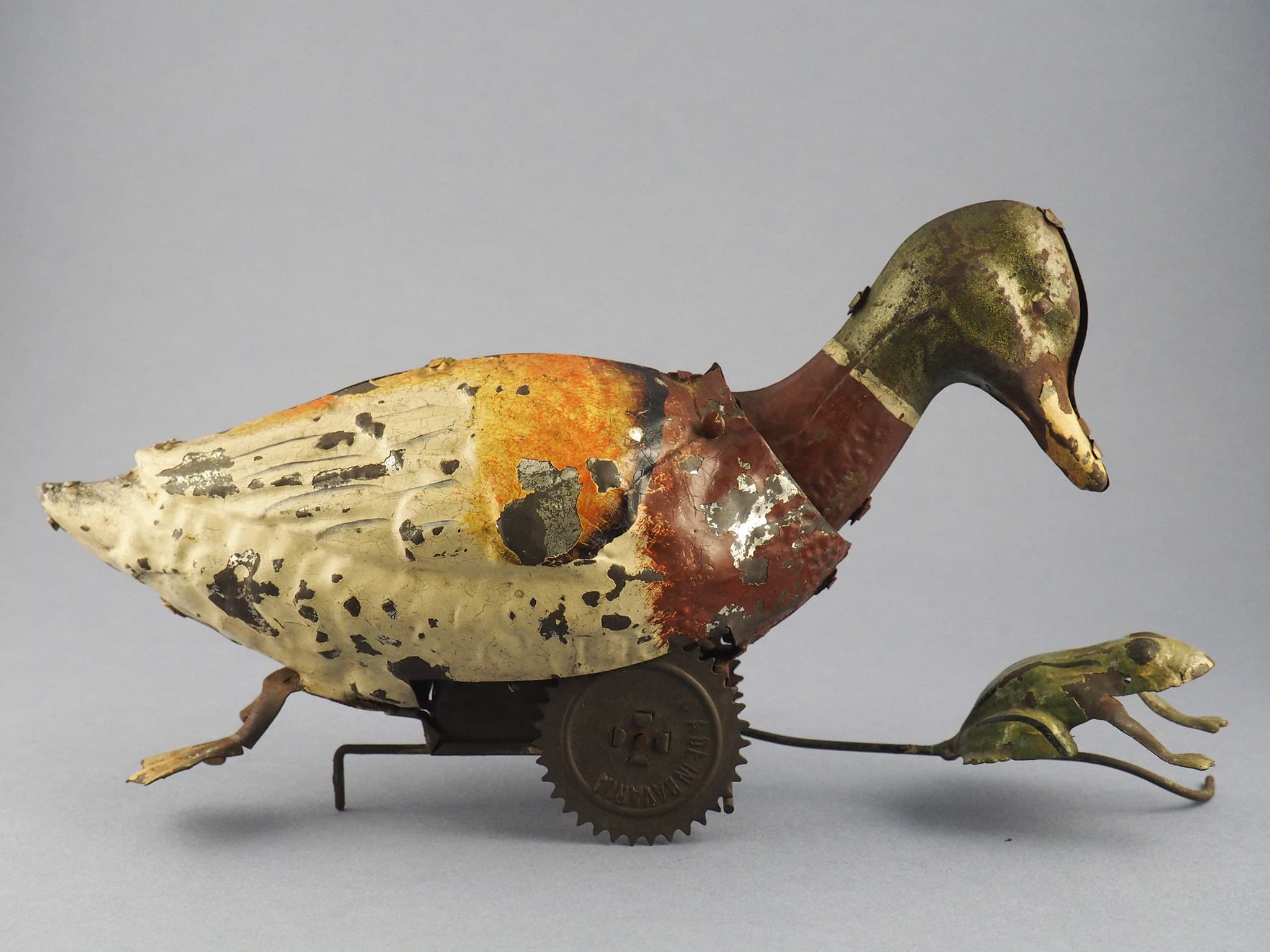 Duck chasing frog