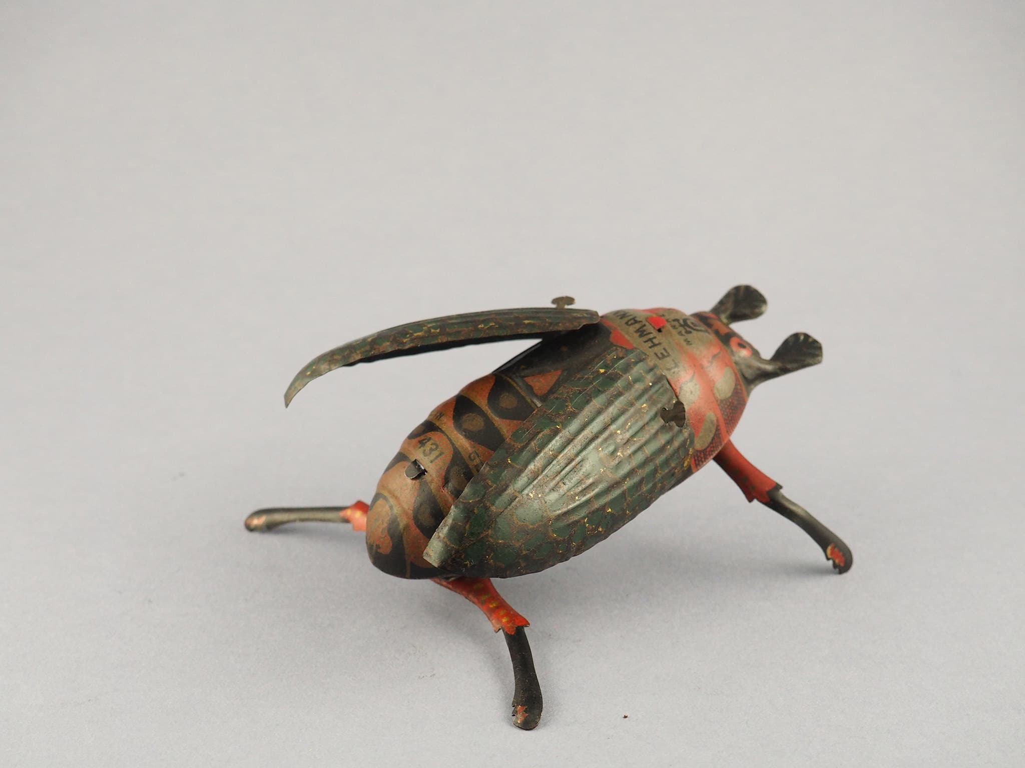 Crawling Beetle