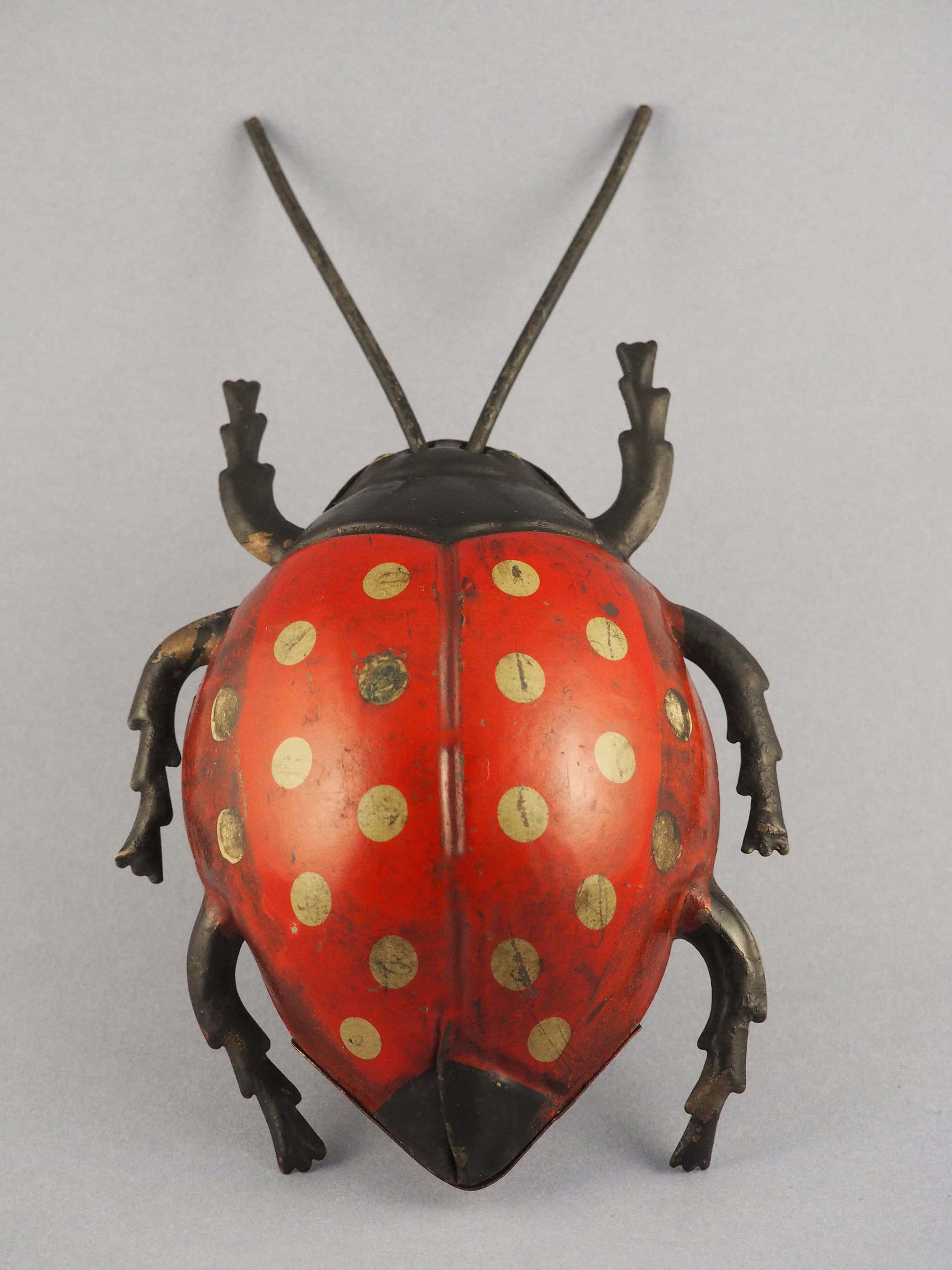 Lady Bug