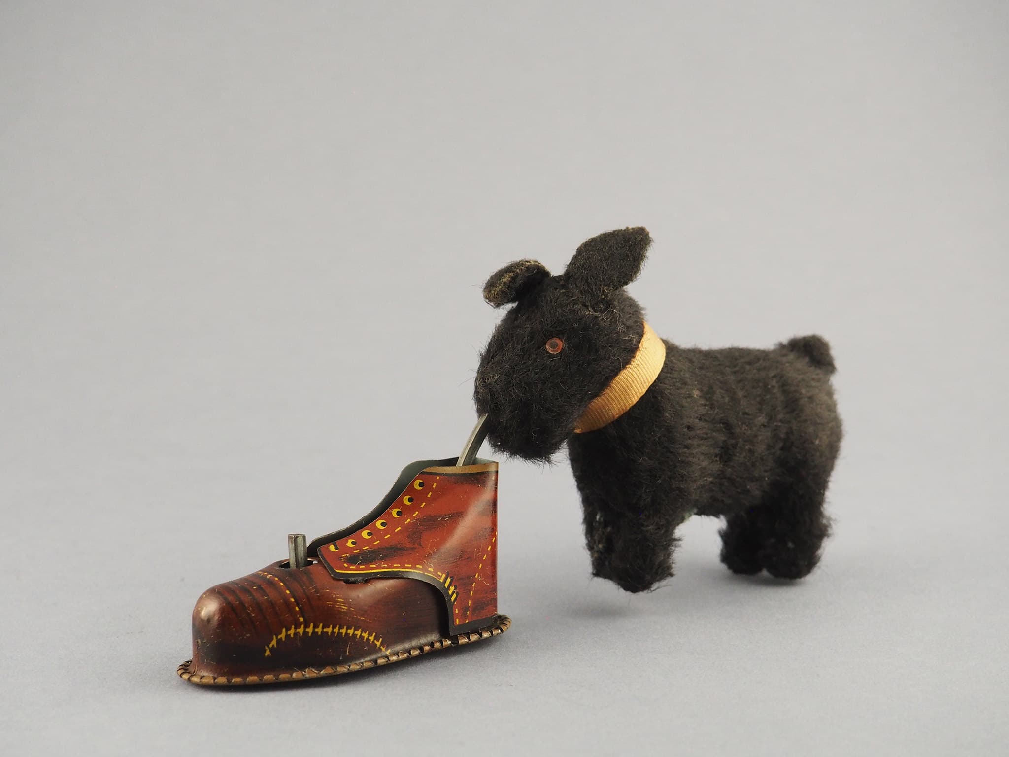 Dog with Shoe