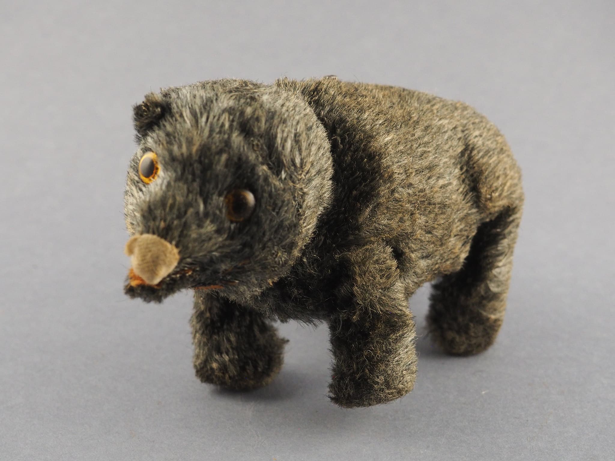 Walking Bear