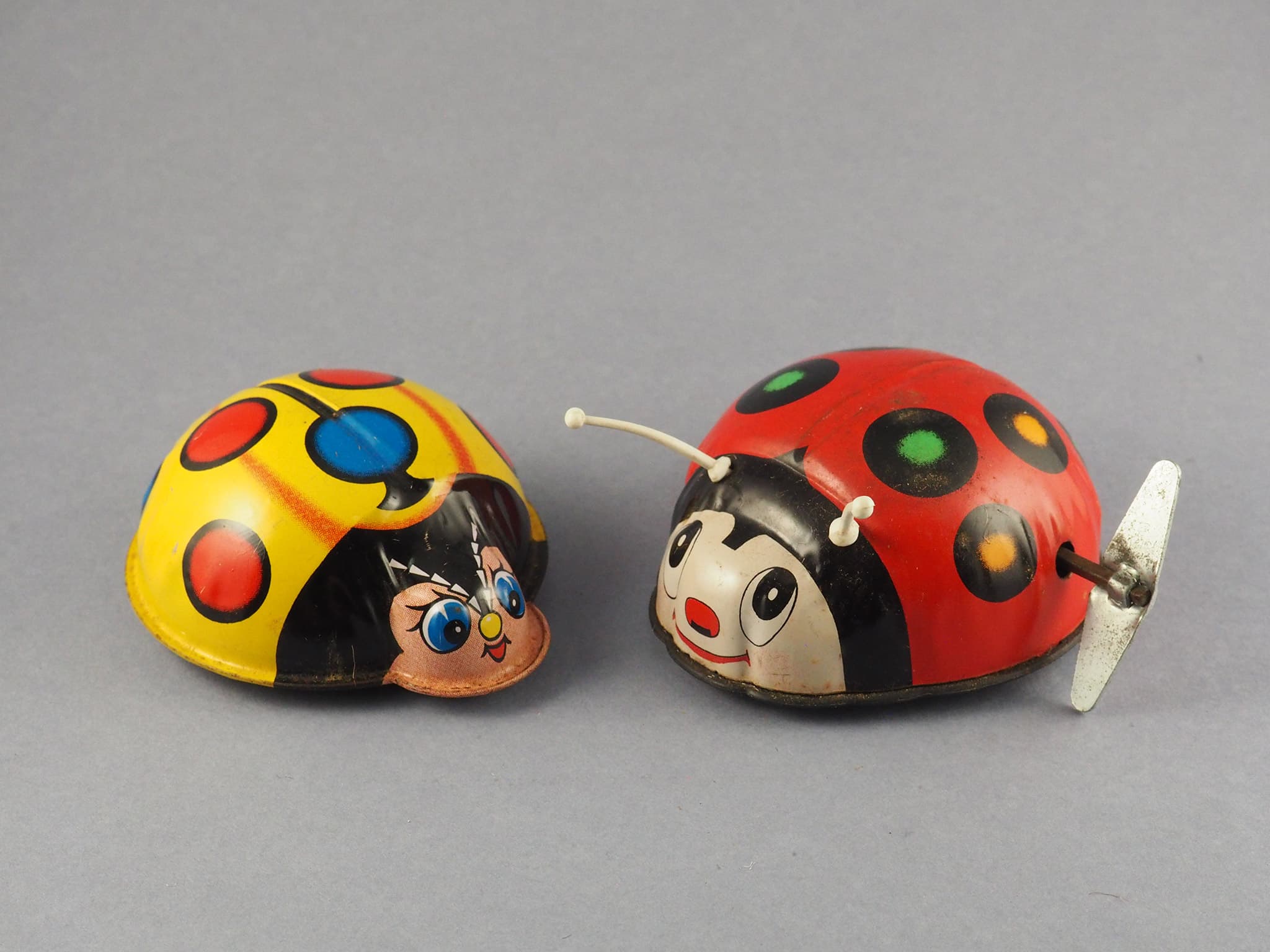 Ladybug