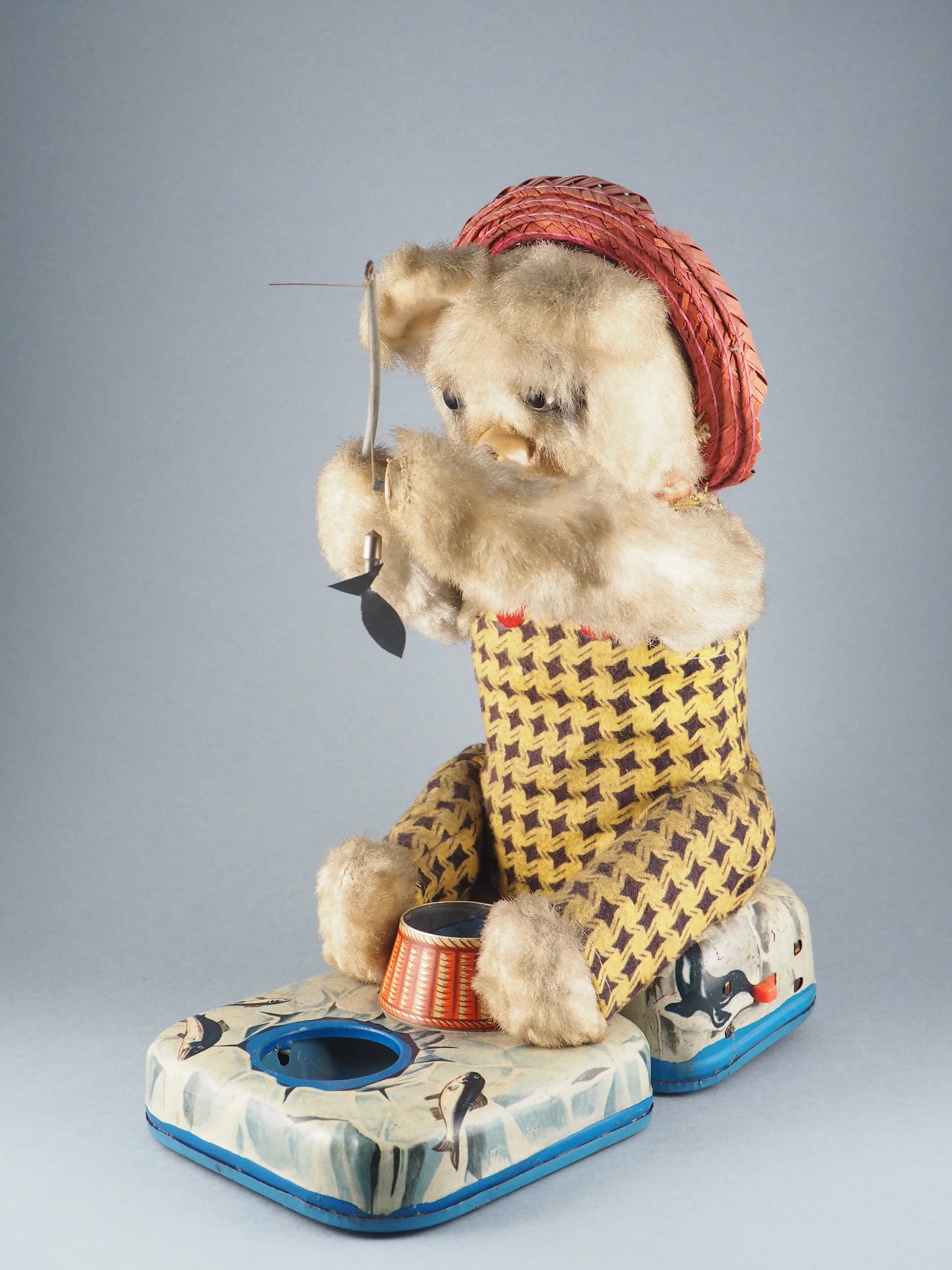 Fishing Bear