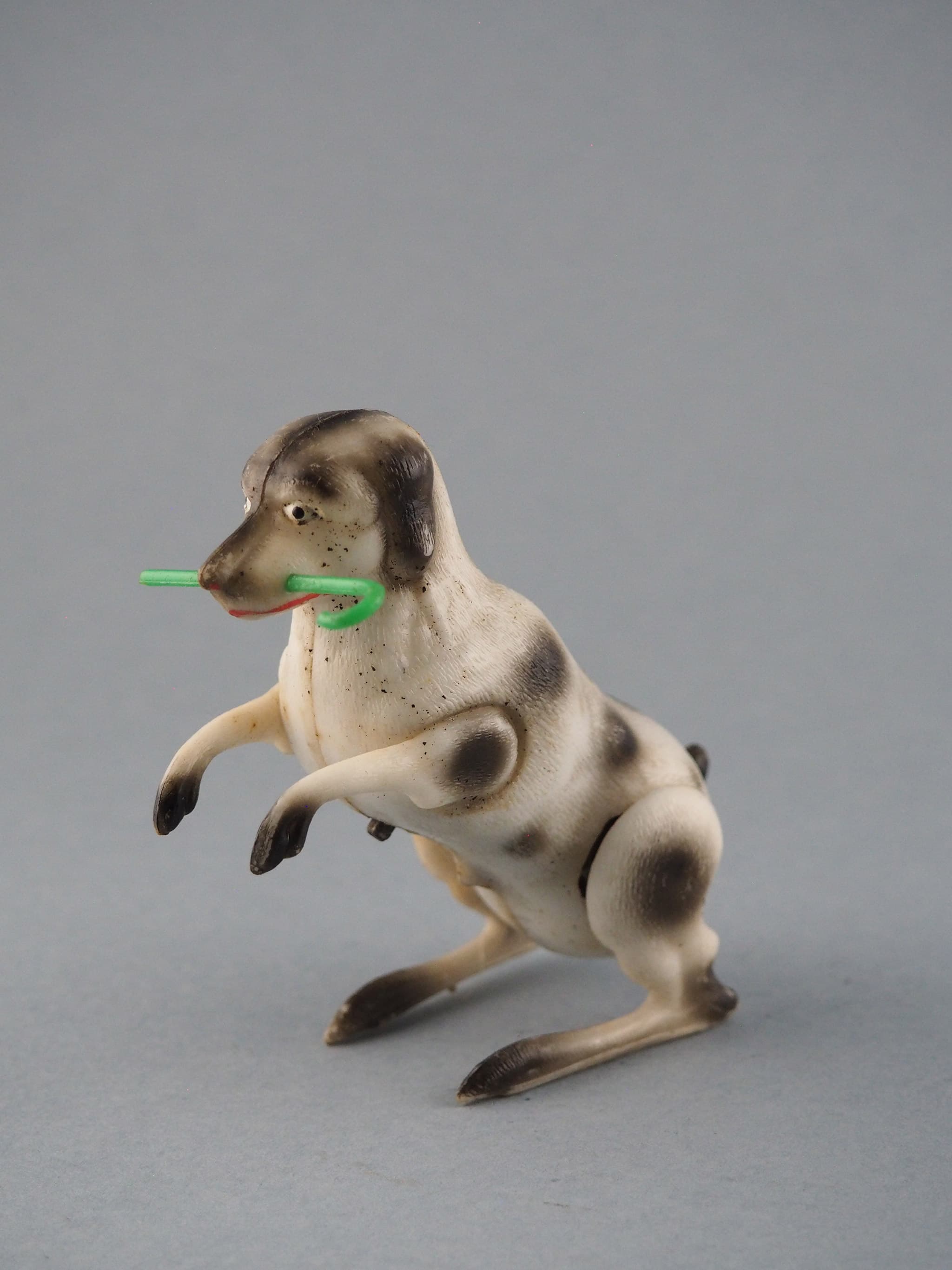 Cão com Bengala