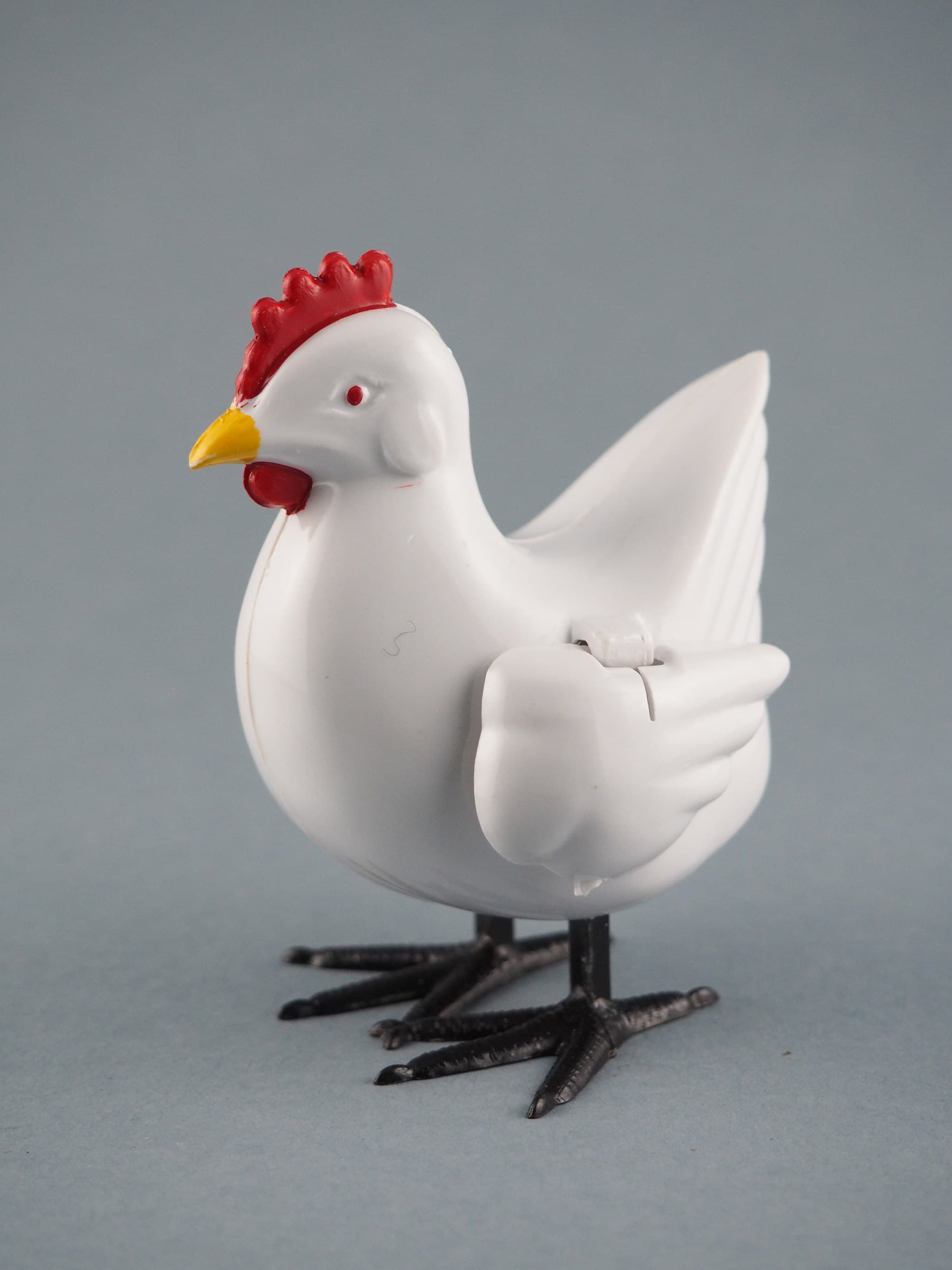 Galinha a pôr Ovos